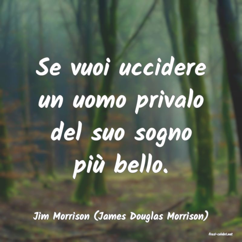 frasi di Jim Morrison (James Douglas Morrison)