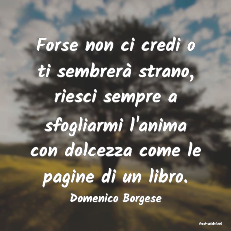 frasi di  Domenico Borgese
