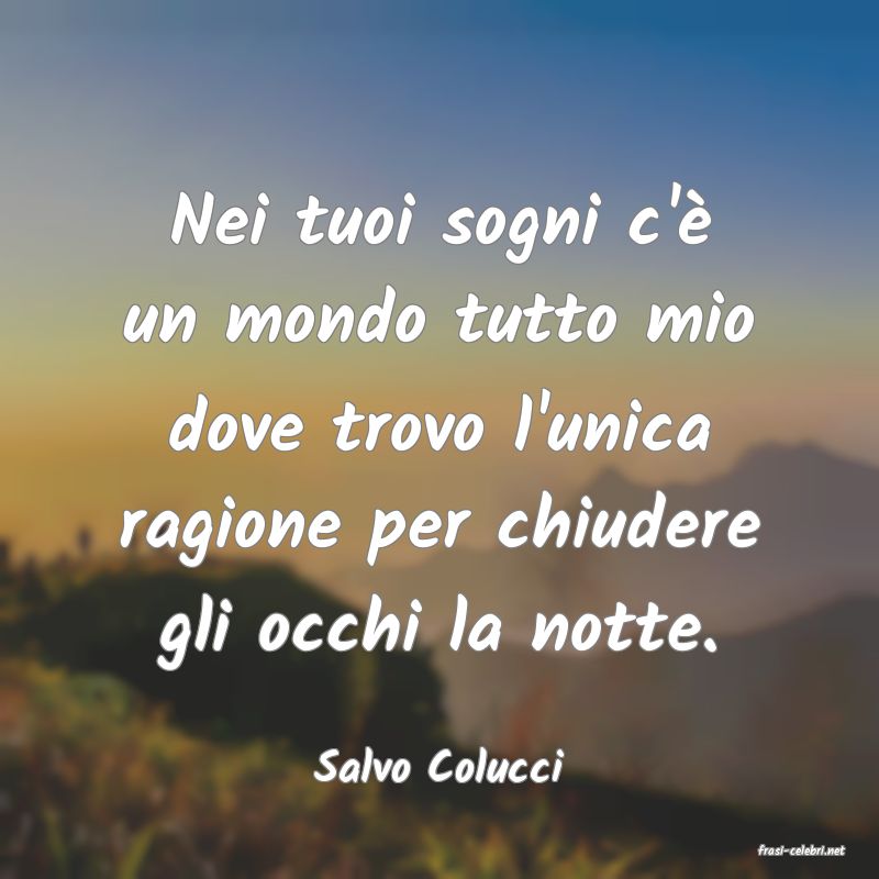 frasi di  Salvo Colucci
