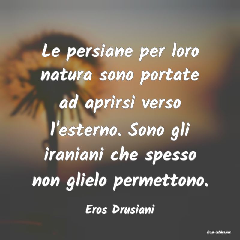 frasi di  Eros Drusiani
