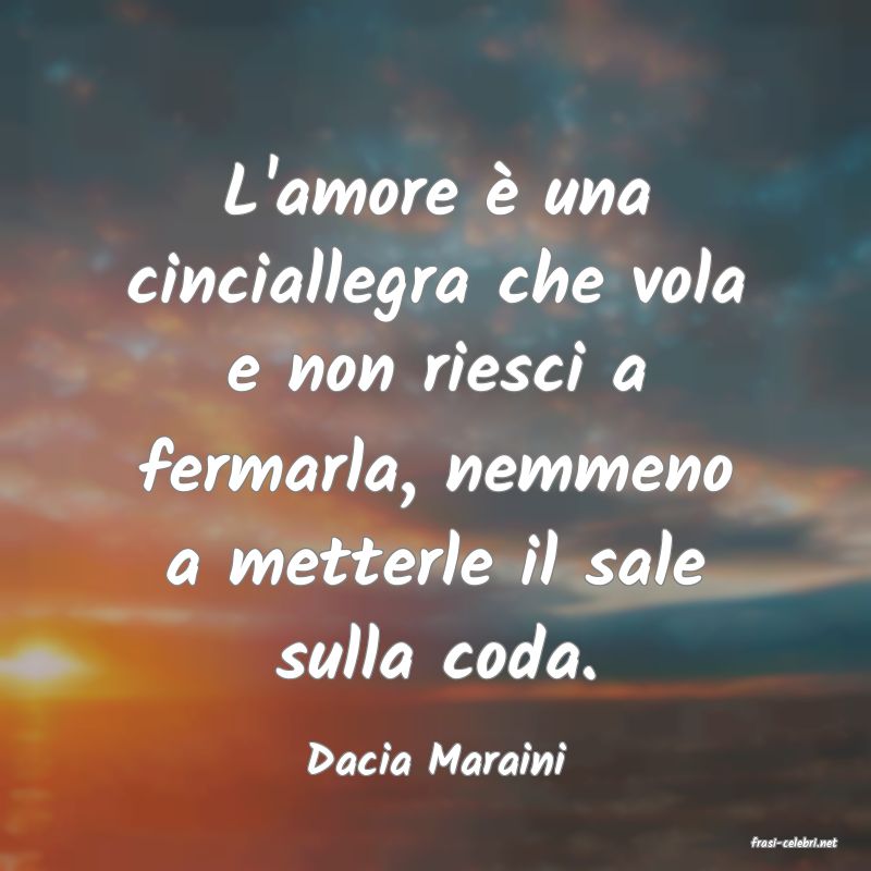 frasi di  Dacia Maraini
