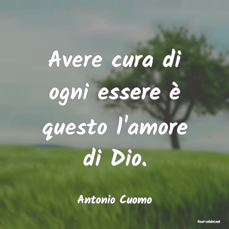 frasi di  Antonio Cuomo
