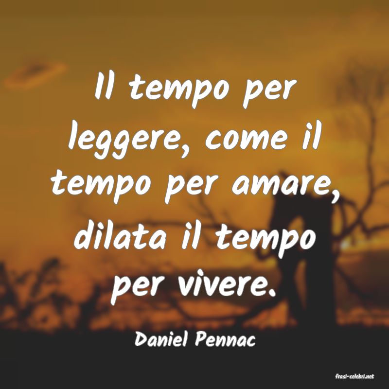 frasi di  Daniel Pennac
