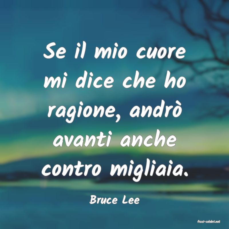 frasi di  Bruce Lee
