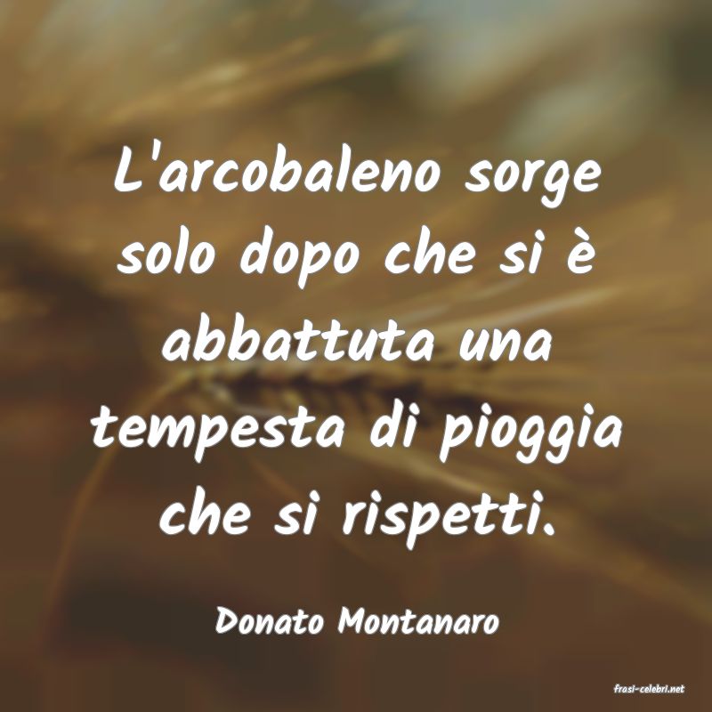 frasi di  Donato Montanaro
