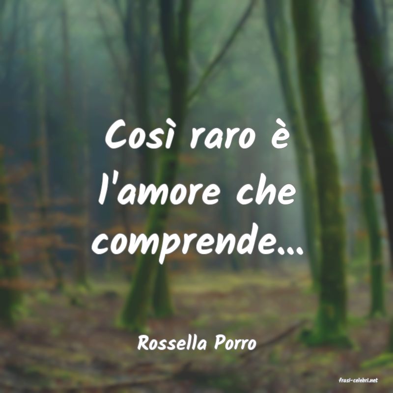 frasi di  Rossella Porro
