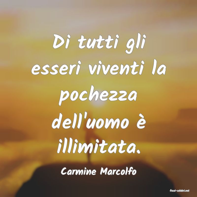 frasi di  Carmine Marcolfo
