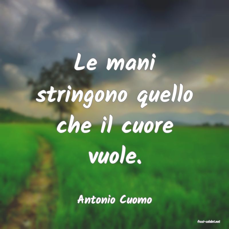 frasi di  Antonio Cuomo
