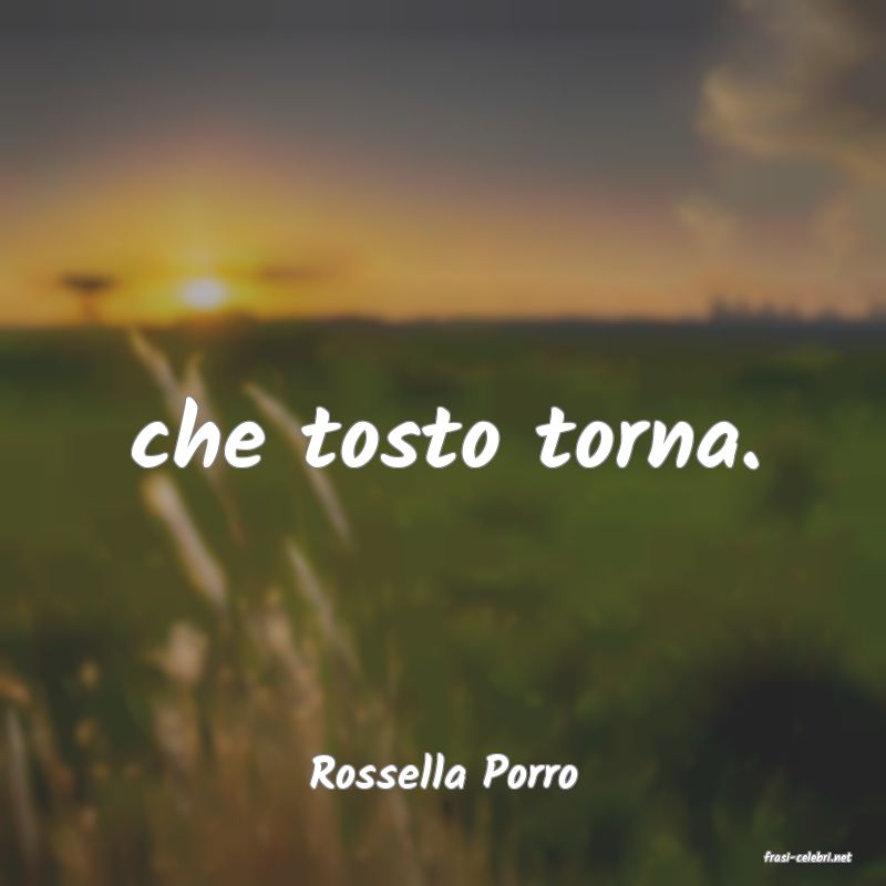 frasi di  Rossella Porro
