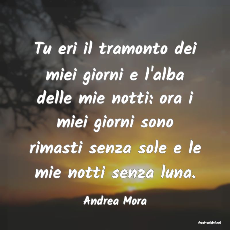 frasi di  Andrea Mora
