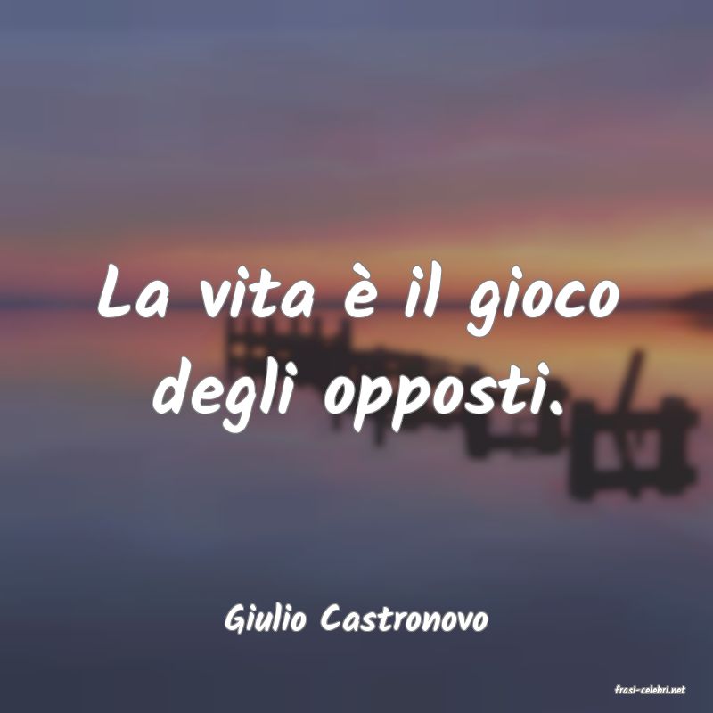 frasi di  Giulio Castronovo
