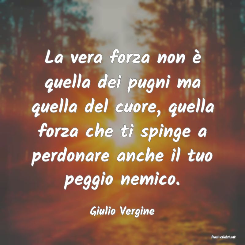 frasi di  Giulio Vergine
