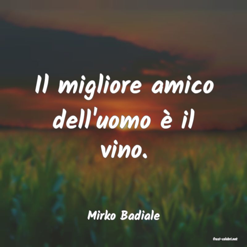 frasi di  Mirko Badiale
