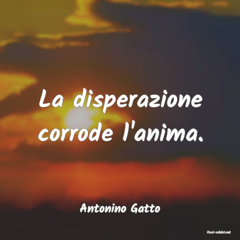 frasi di  Antonino Gatto
