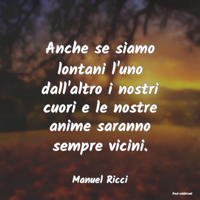 frasi di Manuel Ricci