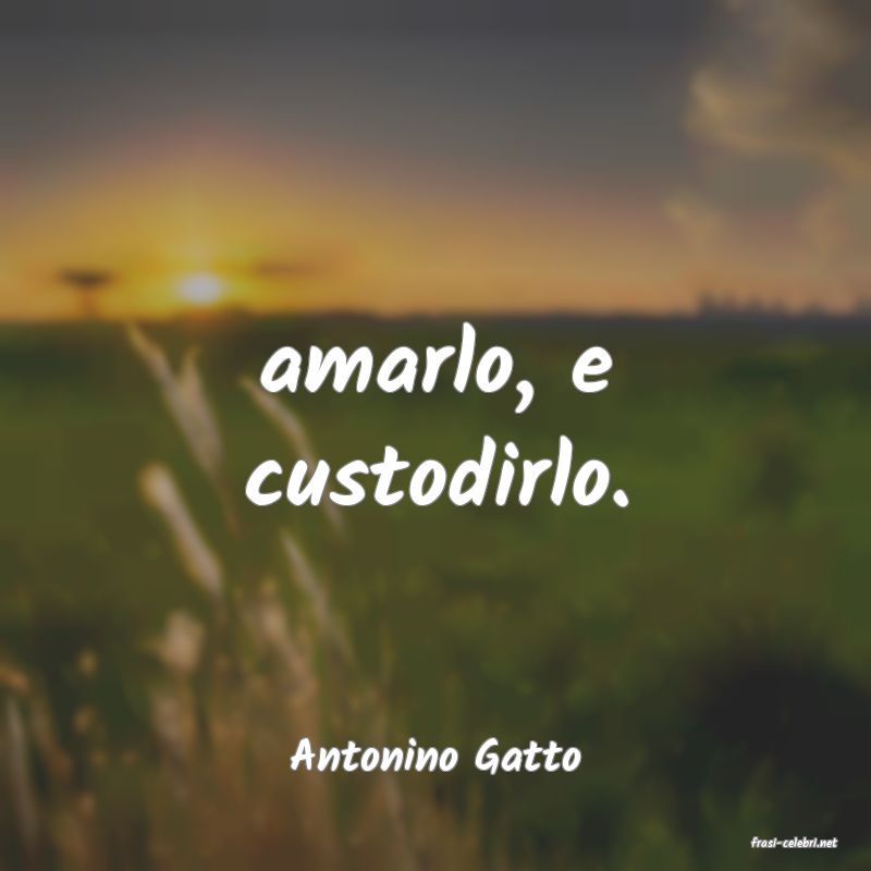 frasi di  Antonino Gatto
