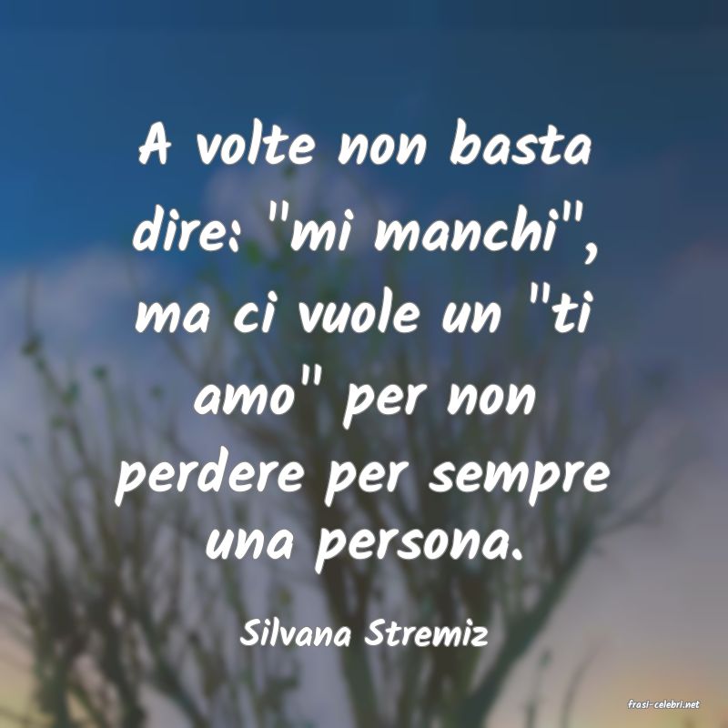 frasi di  Silvana Stremiz
