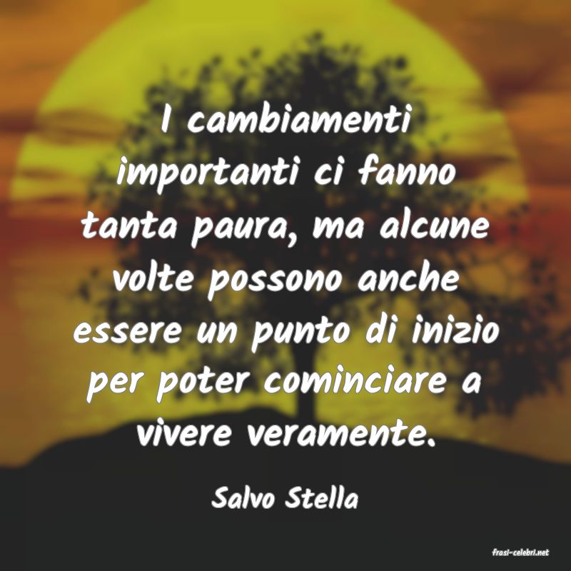 frasi di  Salvo Stella
