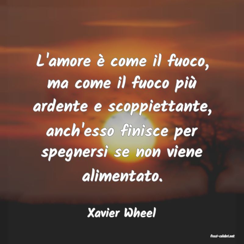 frasi di  Xavier Wheel
