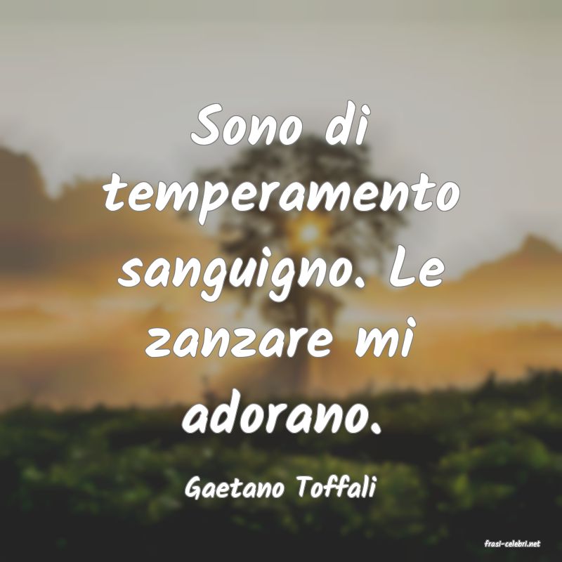 frasi di  Gaetano Toffali
