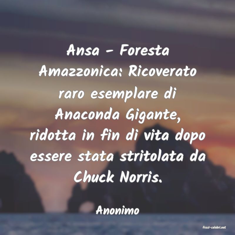 frasi di Anonimo