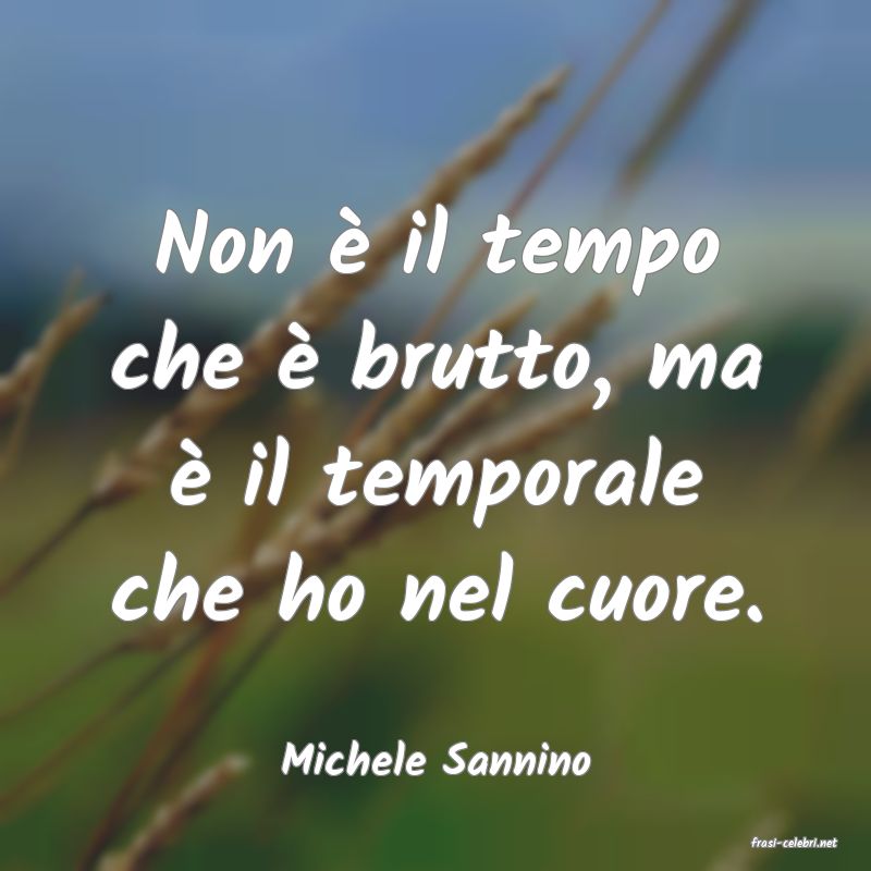 frasi di  Michele Sannino
