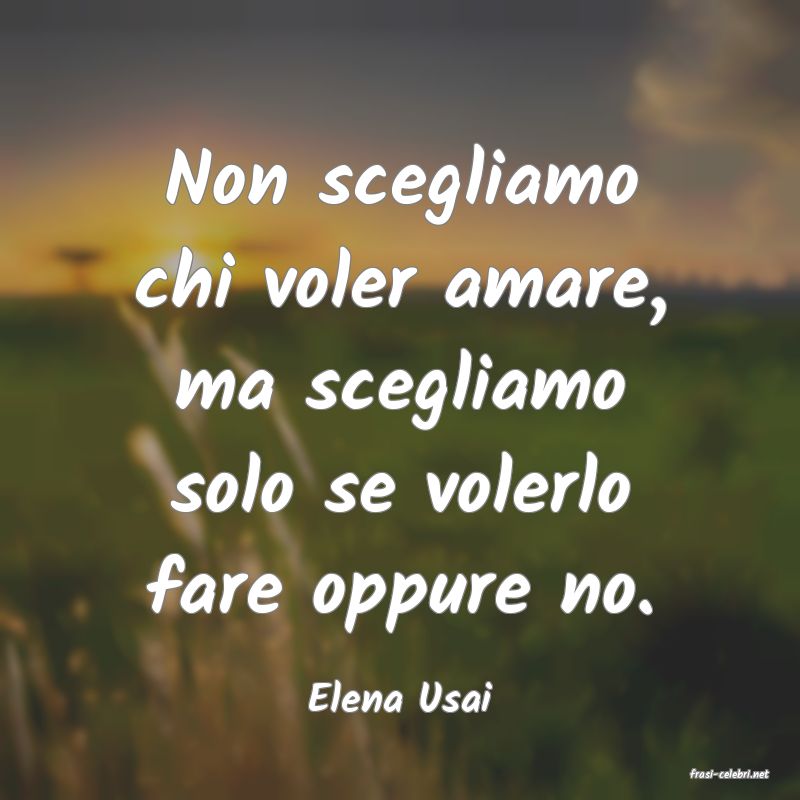 frasi di  Elena Usai
