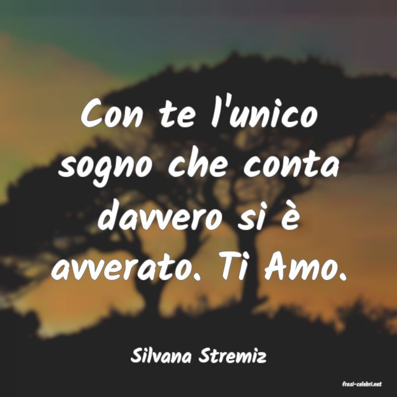 frasi di Silvana Stremiz