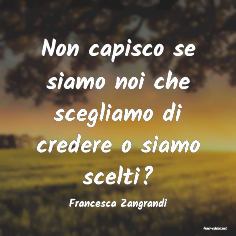 frasi di  Francesca Zangrandi
