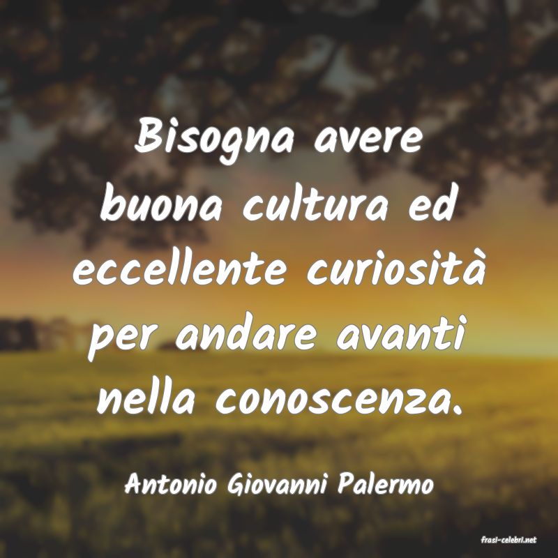 frasi di  Antonio Giovanni Palermo
