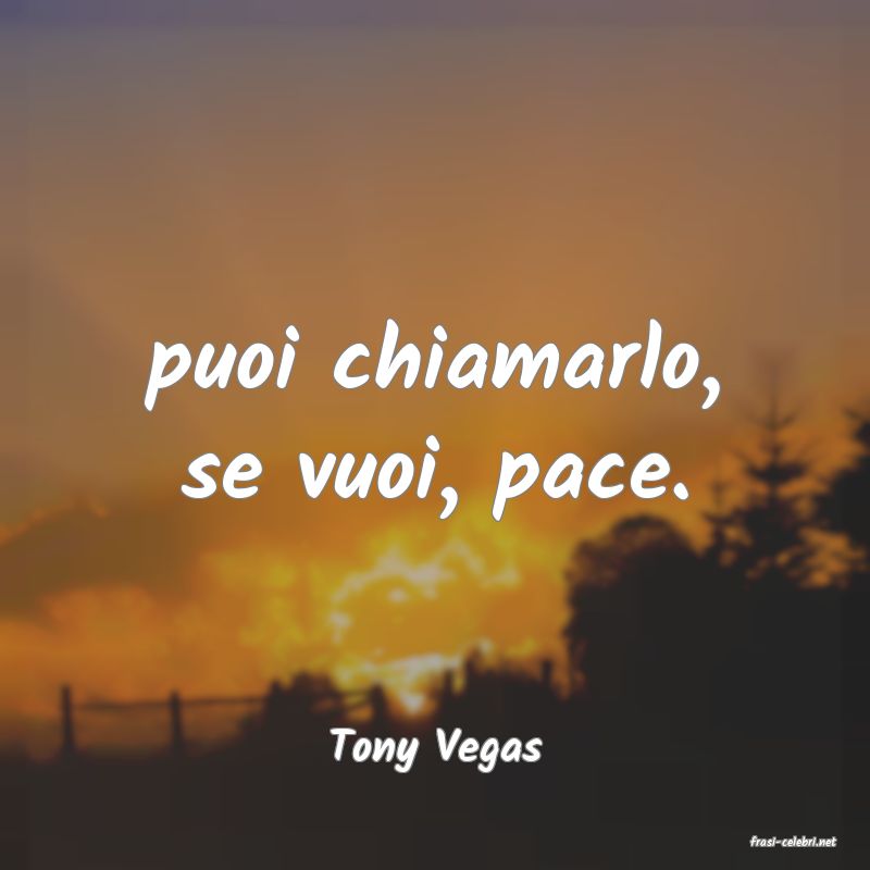 frasi di  Tony Vegas
