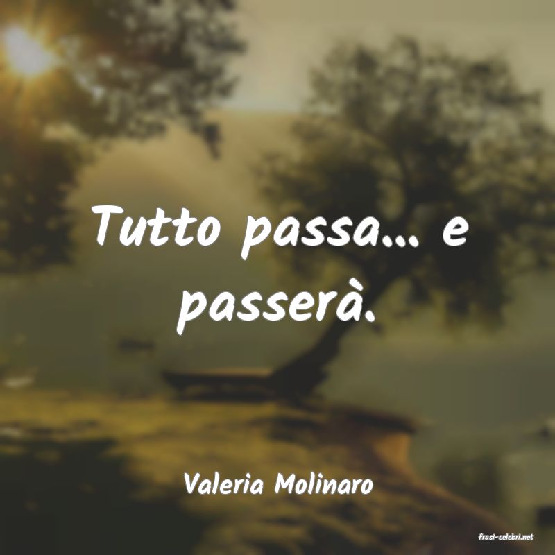 frasi di  Valeria Molinaro
