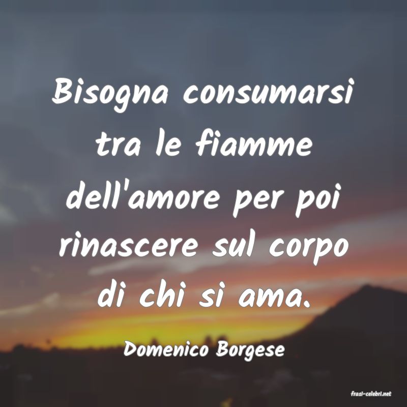 frasi di  Domenico Borgese
