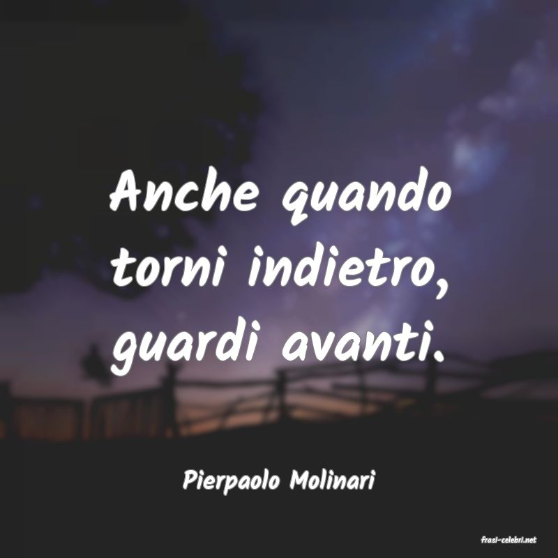 frasi di  Pierpaolo Molinari
