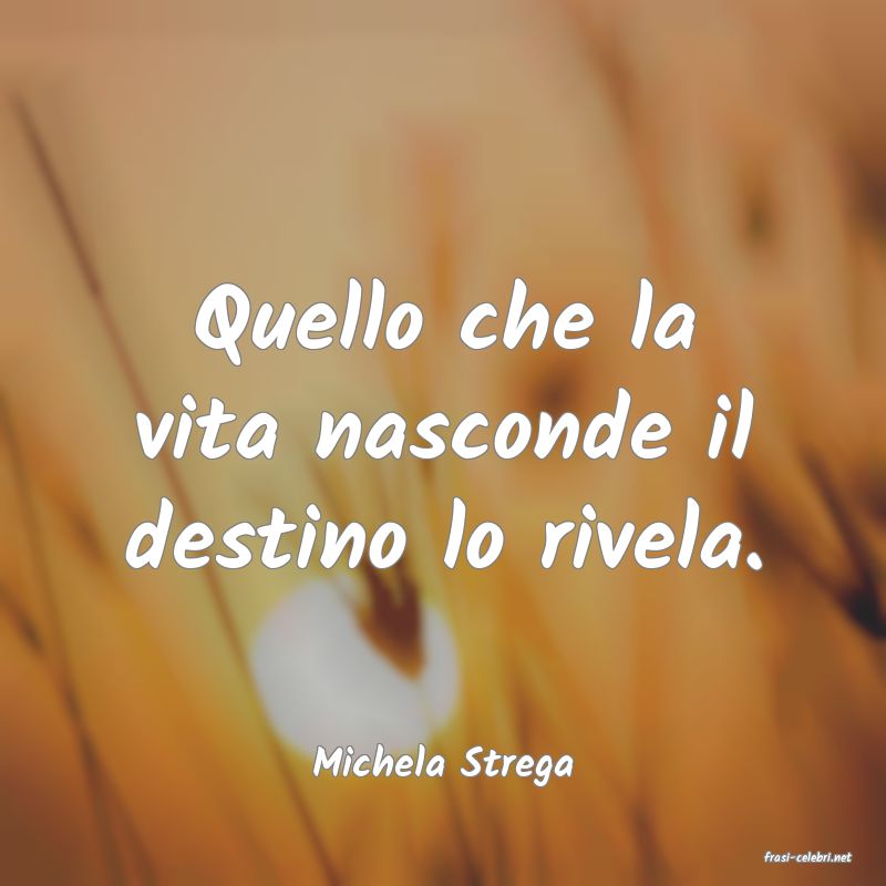 frasi di  Michela Strega
