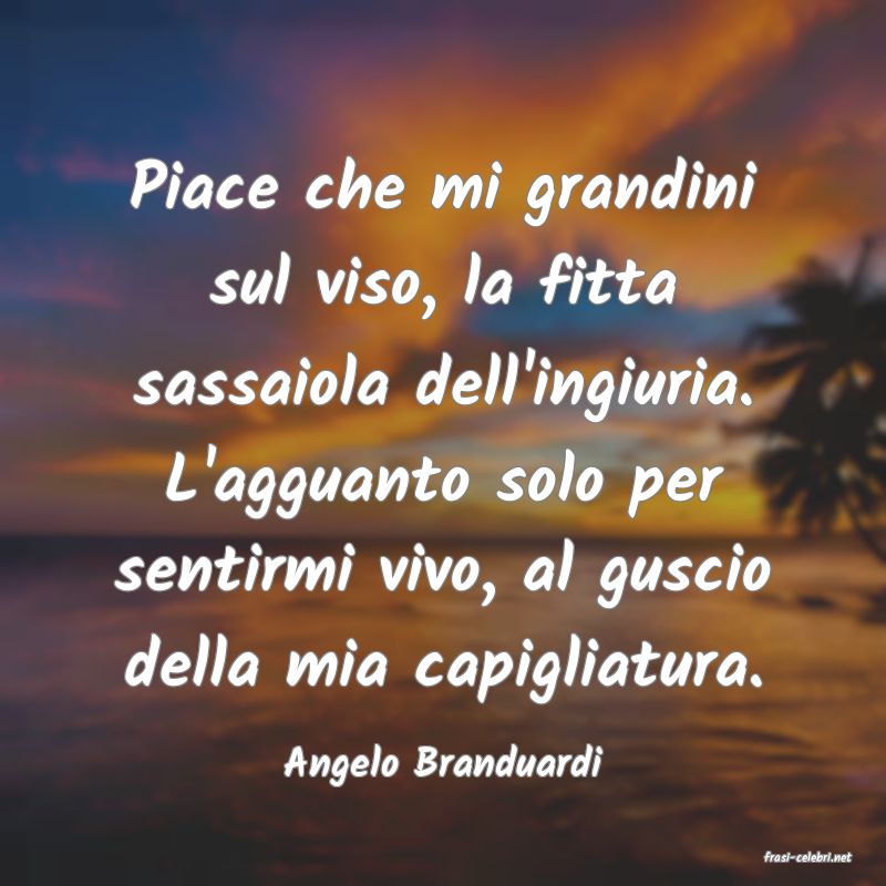 frasi di  Angelo Branduardi
