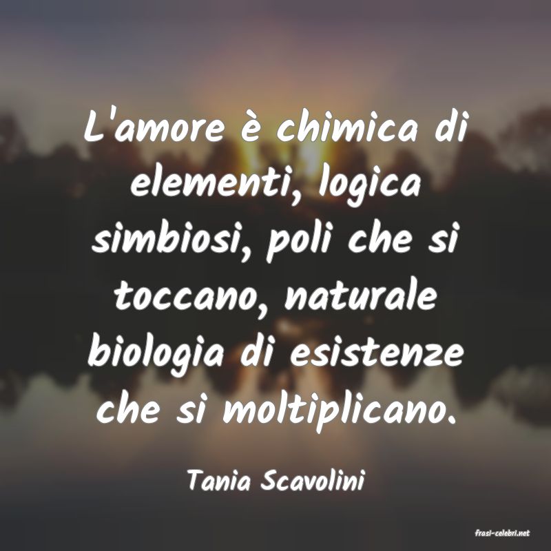 frasi di  Tania Scavolini
