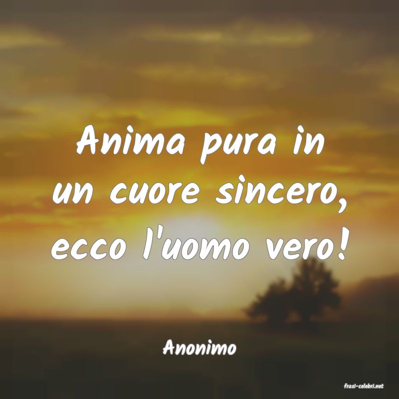 frasi di  Anonimo
