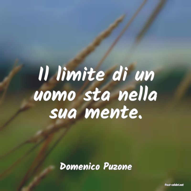 frasi di  Domenico Puzone
