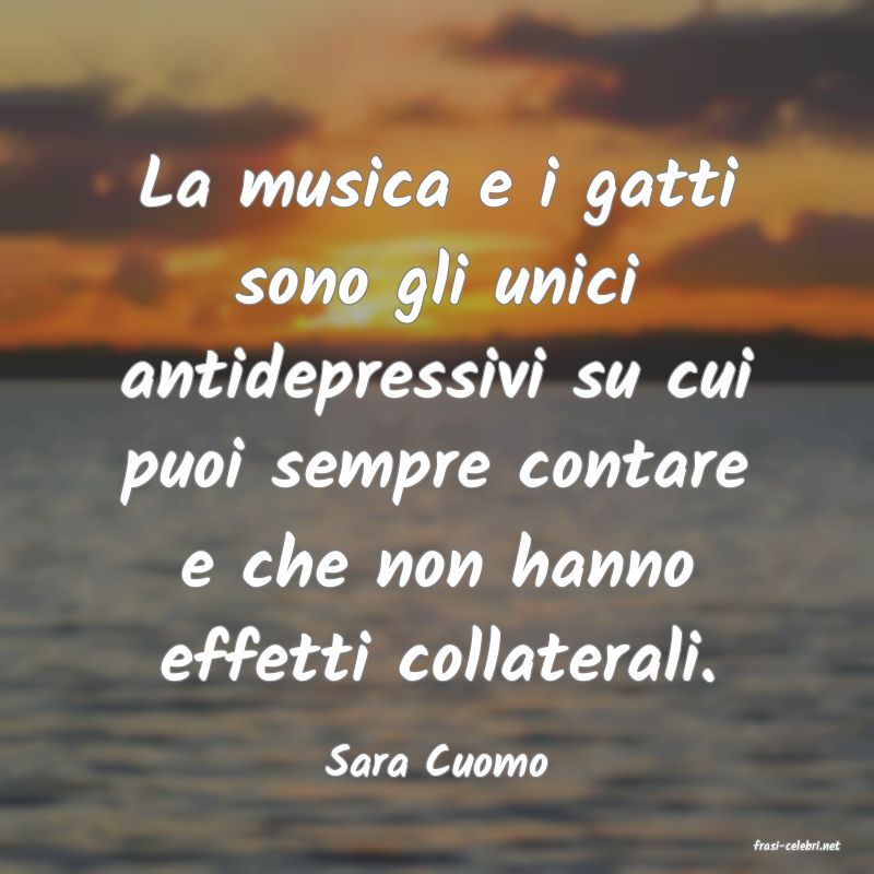 frasi di  Sara Cuomo
