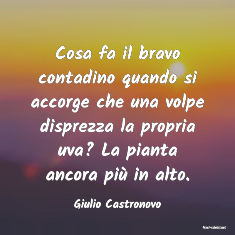 frasi di  Giulio Castronovo
