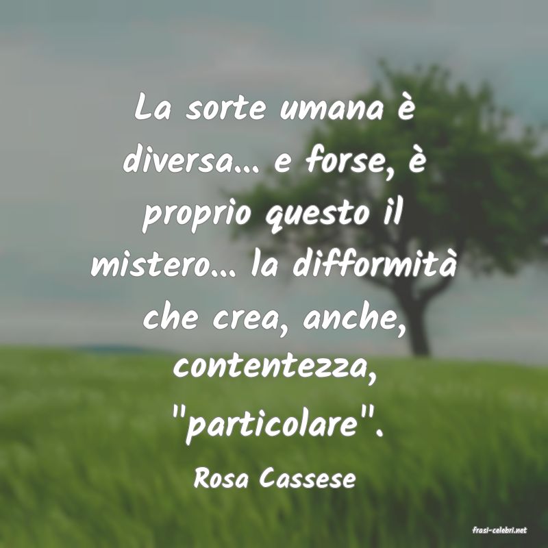 frasi di  Rosa Cassese
