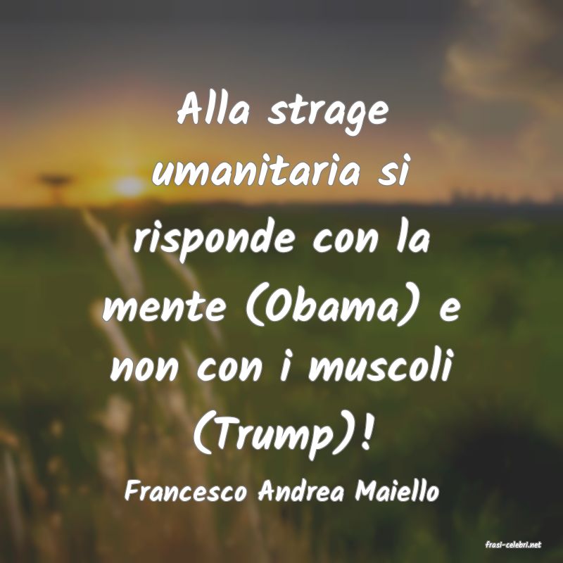 frasi di  Francesco Andrea Maiello
