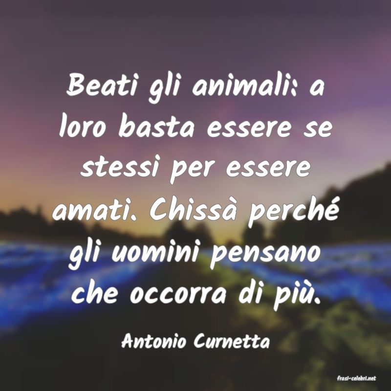 frasi di  Antonio Curnetta
