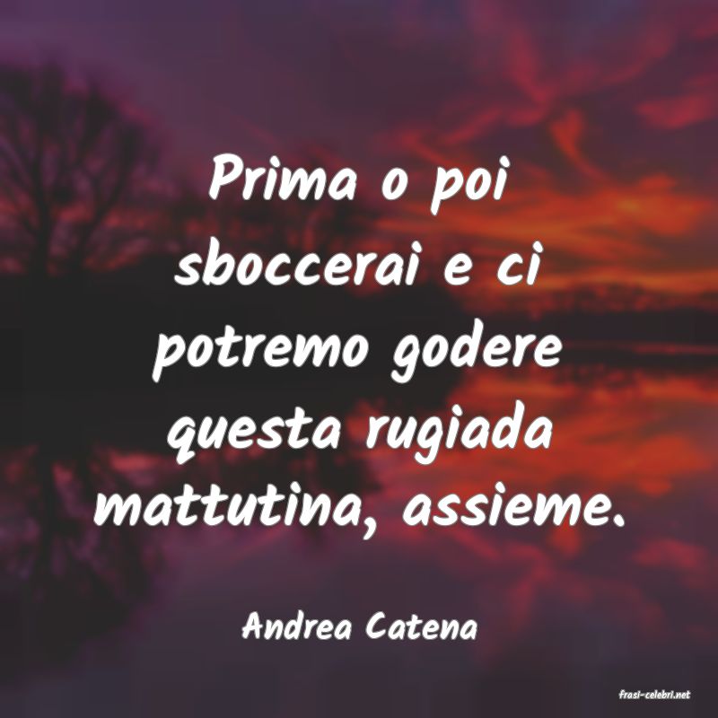 frasi di  Andrea Catena
