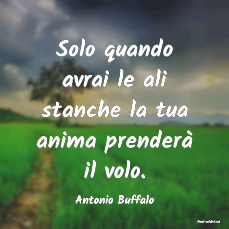 frasi di  Antonio Buffalo
