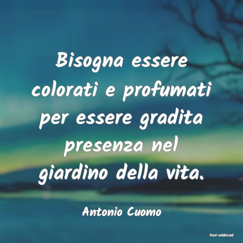 frasi di  Antonio Cuomo
