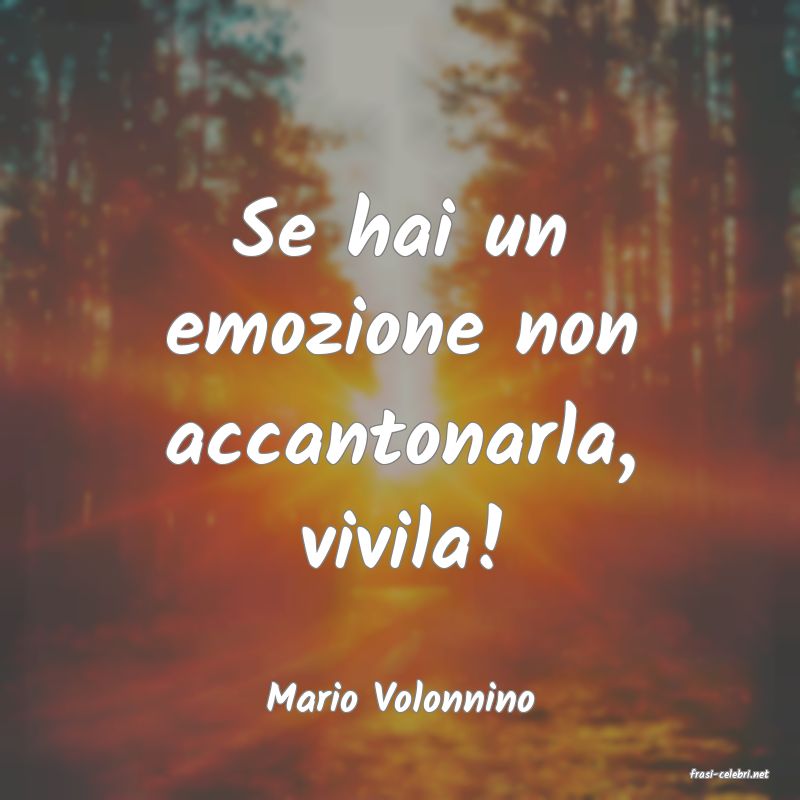 frasi di  Mario Volonnino
