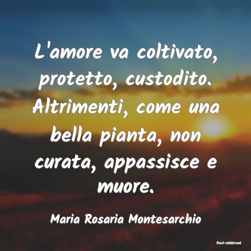 frasi di  Maria Rosaria Montesarchio
