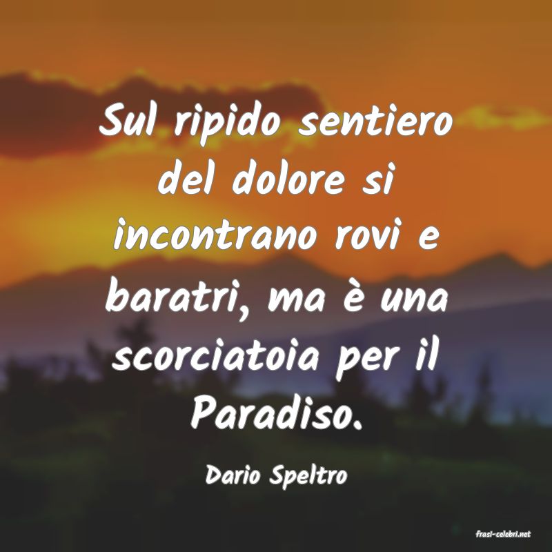 frasi di  Dario Speltro
